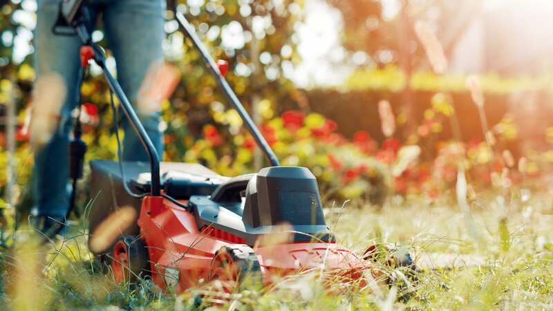 You can put your mower away once you notice this sign (Image: Getty Images/iStockphoto)