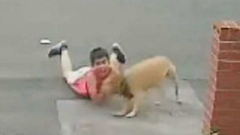 Boy, 10, is mauled by out-of-control dog as he plays football outside home