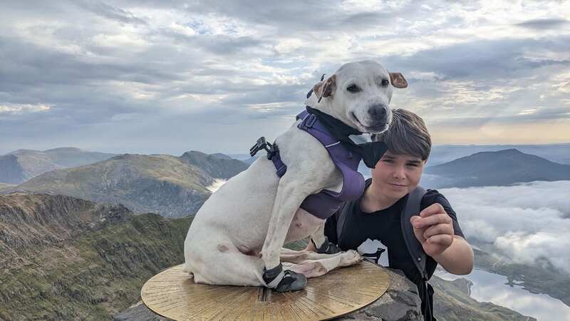 Hope at the summit of Mount Snowdon with one of her 