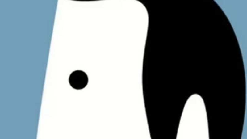 What you see first describes your personality (Image: Mind Journal)