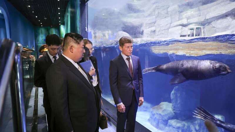 Kim Jong-un inspects a seal in the aquarium (Image: AP)