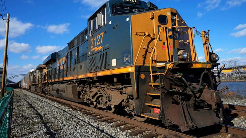 The National Transportation Safety Board is investigating the death, which happened shortly before 4 am on Sunday in Walbridge (Image: AP)