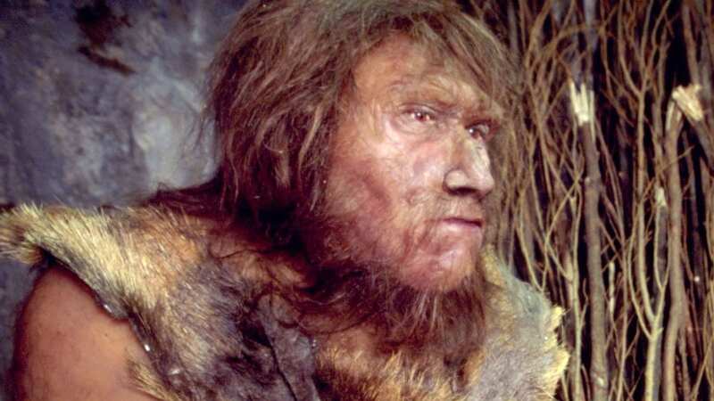 Reconstruction of the environment of a Neanderthal man in the mid-Paleolithic period (Image: Gamma-Rapho via Getty Images)