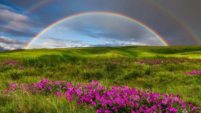 Many people think the world was more colourful when they were kids (stock image) (Image: Getty Images)