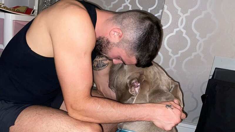 Mark Heffron, pictured with his pooch Tyson, says dog owners are to blame for 