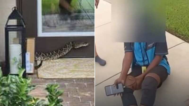 The victim was bitten by this rattlesnake outside the front door of a house on her delivery route (Image: Facebook/Martin County Sheriff