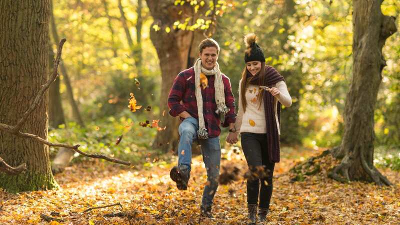 Autumn is here and it means the perfect excuse to get out on some gorgeous walks (Image: Getty)