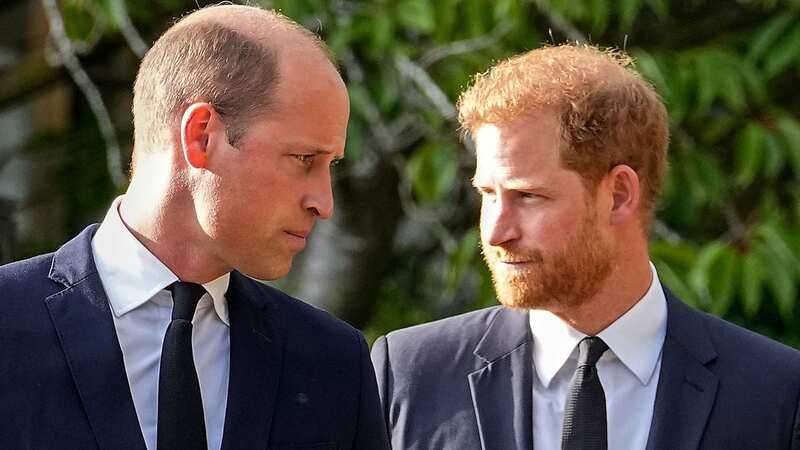 Princes William and Harry were once as thick as thieves – but that soon changed (Image: Martin Meissner/AP/REX/Shutterstock)