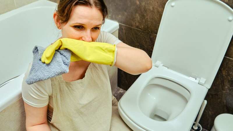 This cheap hack gets rid of foul smells according to Mrs Hinch fans (Stock image) (Image: Getty Images)