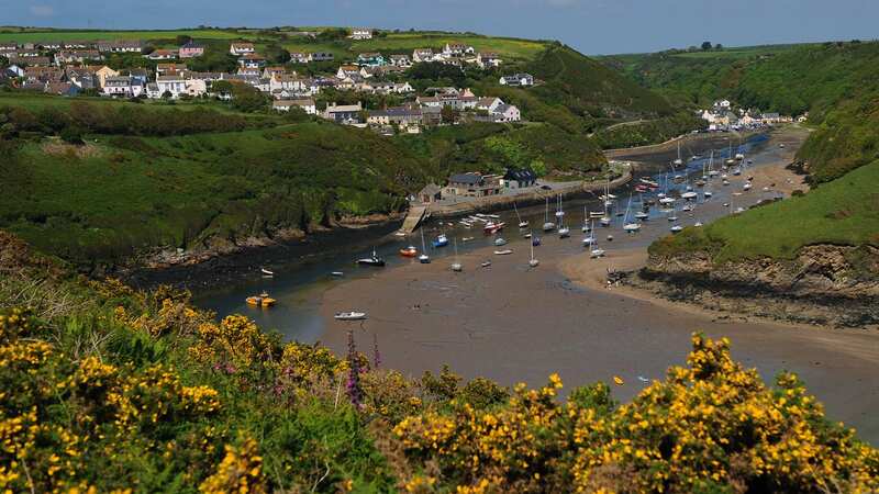 Solva is regarded as one of the most beautiful villages in the UK (Image: WALES NEWS SERVICE)