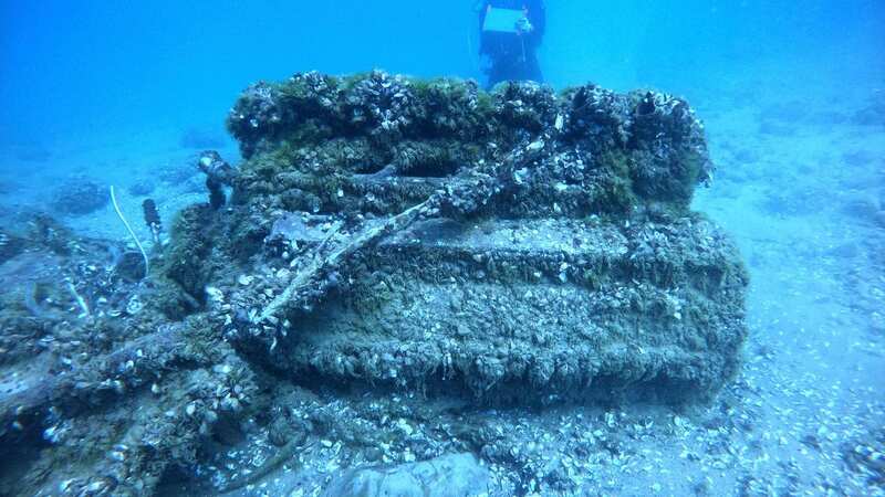 Quagga mussels cover the engine of a Bell P-39 Airacobra military plane in Lake Huron, Michigan (Image: AP)