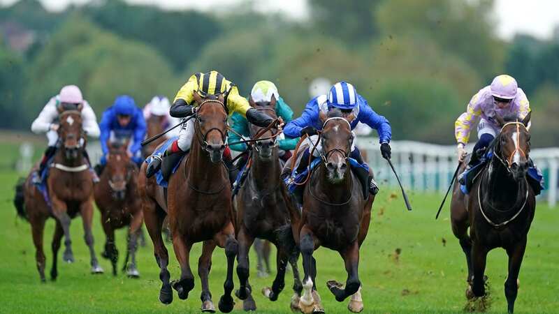 Leicester hosts a seven-race card on Monday, where Newsboy