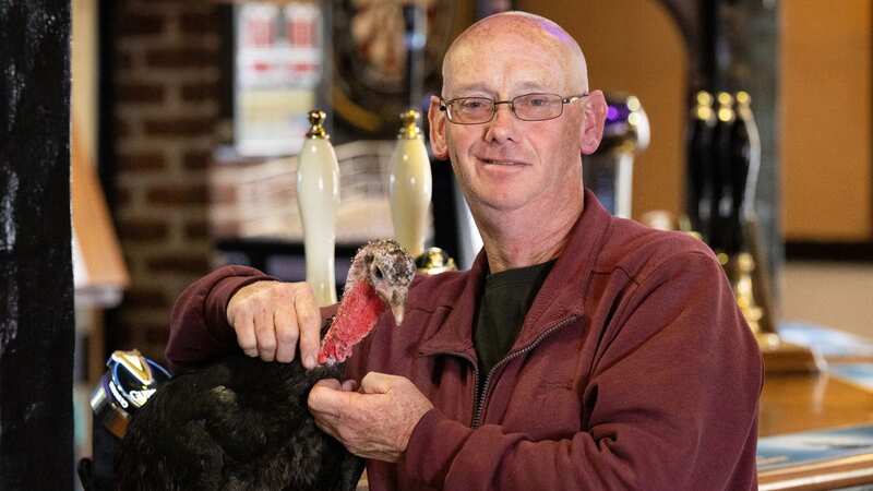Dave Brooker goes everywhere with his beloved pet turkey Trouble Version Two (Image: Tony Kershaw / SWNS)