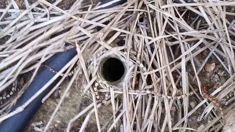 The man found a hole in his back garden (Image: Reddit)
