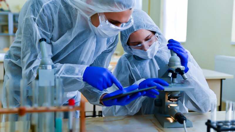 Whilst its case numbers are low, Pirola has caught the attention of health chiefs (stock image) (Image: Getty Images)