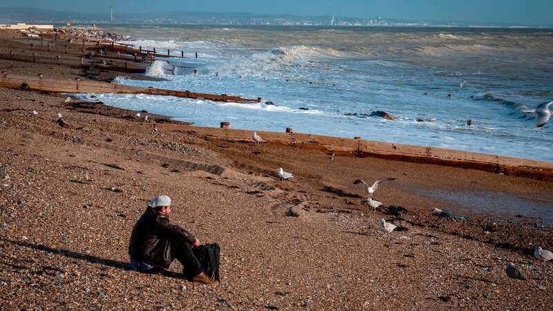 Dog walkers in particular were told to avoid the affected areas (Image: Adur and Worthing Councils WS)