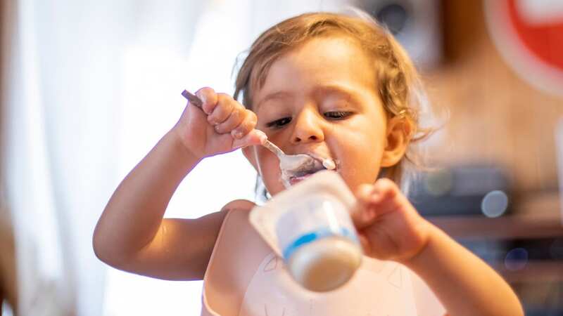 A nutritionist has warned against giving children protein yoghurt (stock image) (Image: Getty Images)