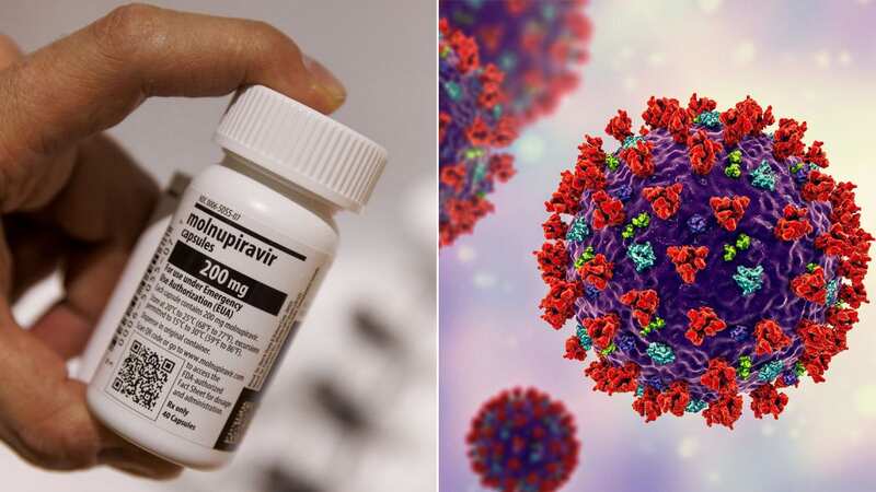 Molnupiravir is driving unexpected mutations in coronavirus, according to scientists