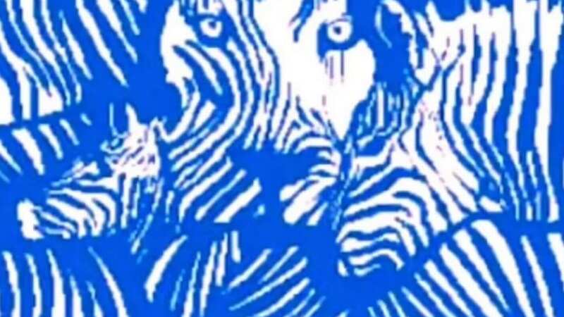What do you see first when you look at this optical illusion? (Image: Mia Yilin/Tik Tok)