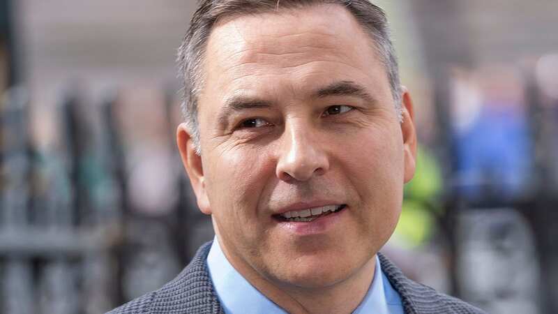 David Walliams