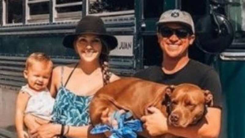 Kristin Batykefer, Will Watson, daughter Roam and their dog (Image: homecrux/Instagram)