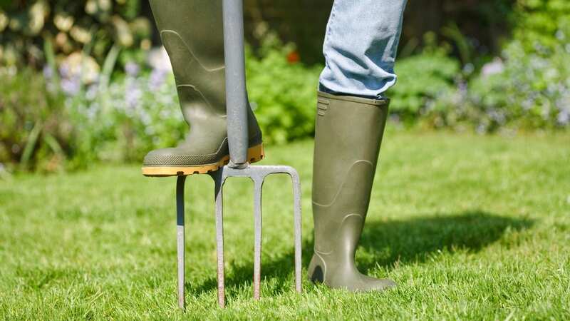 Urgent action is needed to protect your lawn before the heavy rainfall (Image: Getty Images)