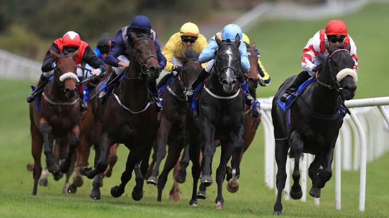Pontefract hosts a seven-race card on Thursday where Newsboy