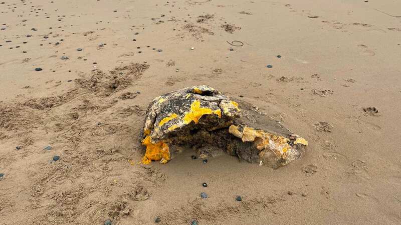 Boulder-sized chunks of palm oil have been washing up on the main beach at Trearddur Bay in Wales (Image: Paul Dean)