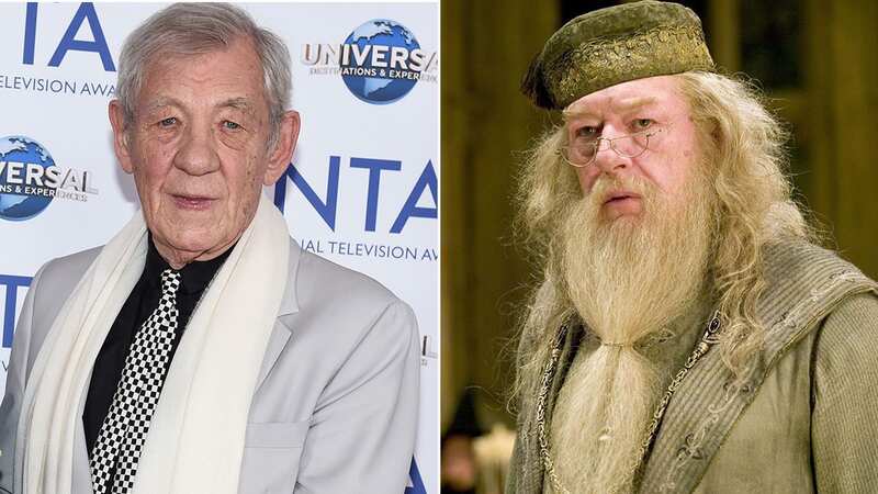 An Insult Stopped Ian McKellen From Playing Dumbledore in the 