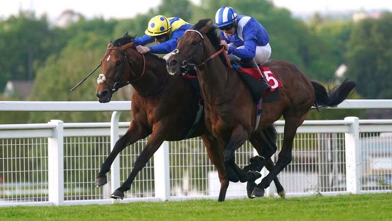 Hukum and Jim Crowley (right): have a wide draw in the Arc (Image: PA)