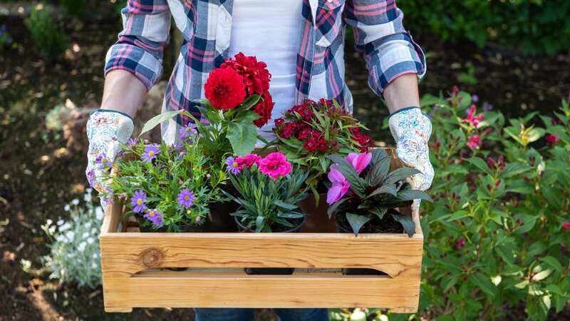The landscaper has revealed all (stock photo) (Image: Getty Images/iStockphoto)