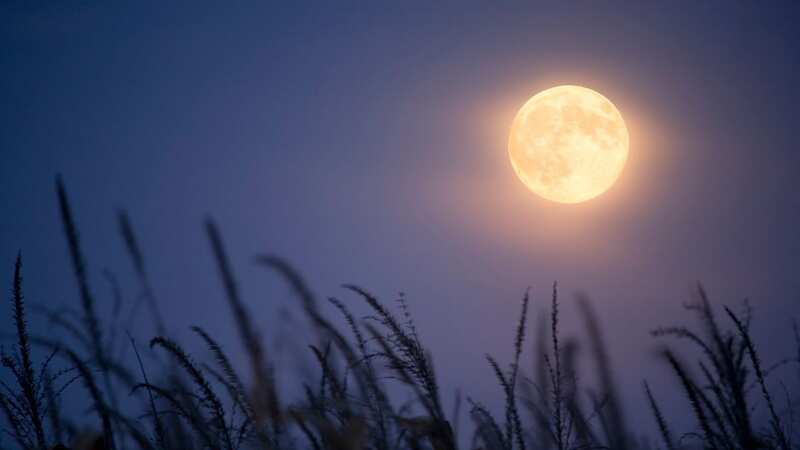 The Harvest Super Full Moon could affect the signs of Aries and Cancer the most (stock photo) (Image: Getty Images)