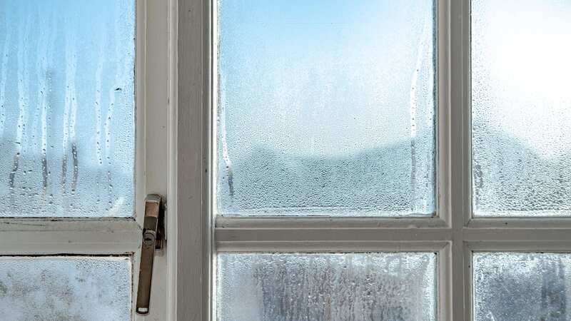 This easy and cheap trick will banish the condensation from your windows (Image: Getty Images/iStockphoto)