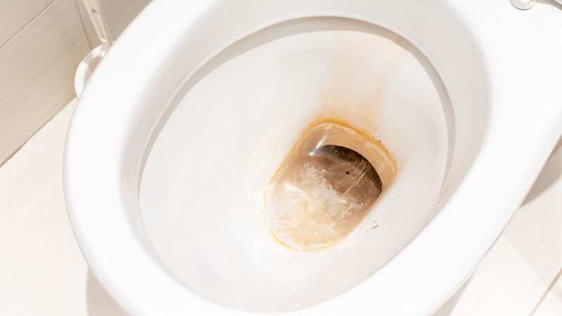 Cleaning experts hail one product 