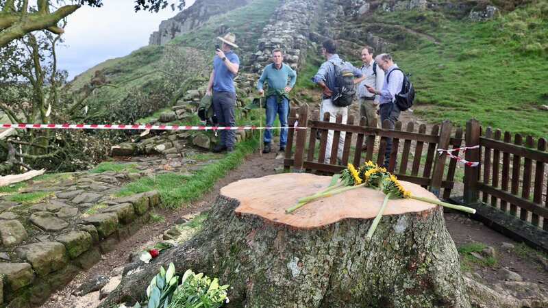 More flowers have been left at the site of the felled tree (Image: Newcastle Chronicle)