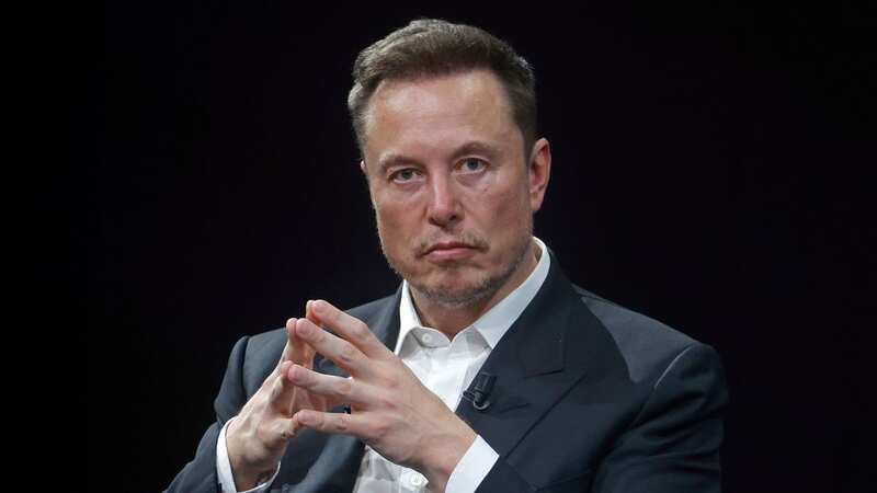 Elon Musk is chief executive of SpaceX (Image: Getty Images)