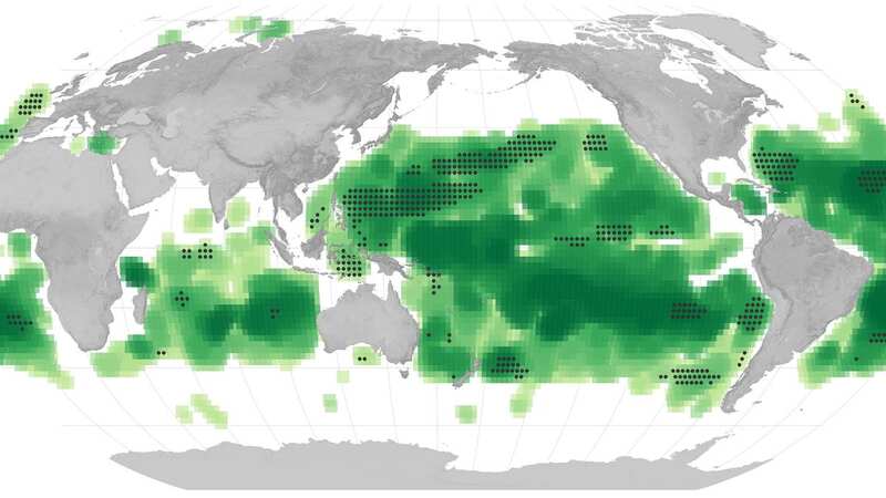 The shift in the water from a rich blue to green confirms a suspected trend that experts have predicted under climate change (Image: NASA)