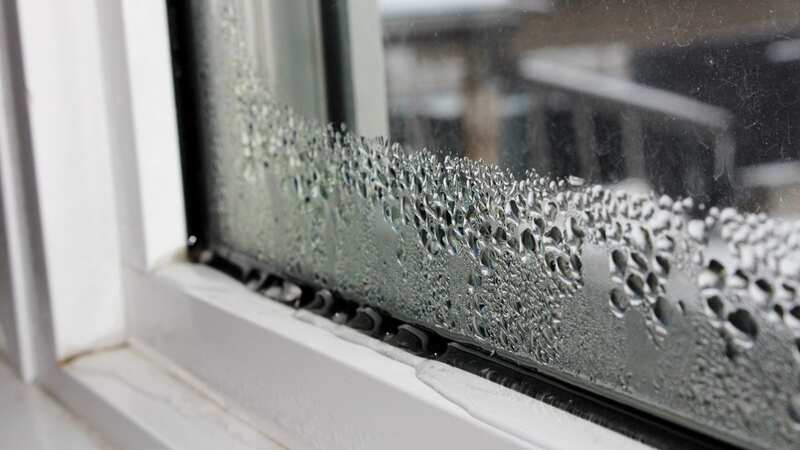 Try a homemade dehumidifier before forking out for a pricey electric model (stock photo) (Image: Getty Images/iStockphoto)
