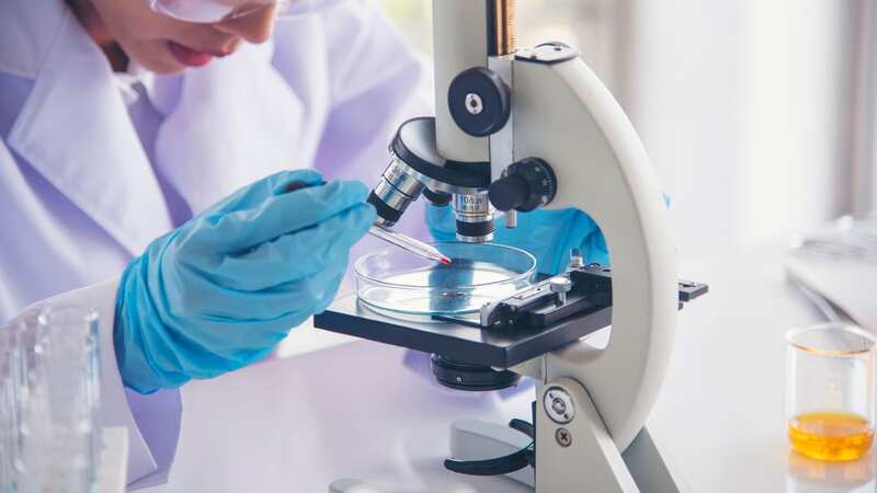 Scientists continue to work to understand the genes (Image: Getty Images/iStockphoto)