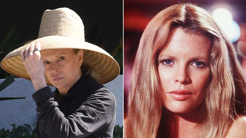 Kim Basinger looks unrecognisable during new rare outing in Hollywood