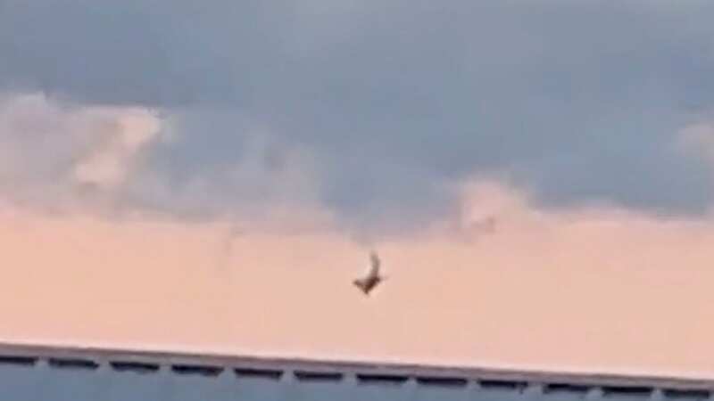 The aircraft spirals out of the sky and landed on a house (Image: Facebook)