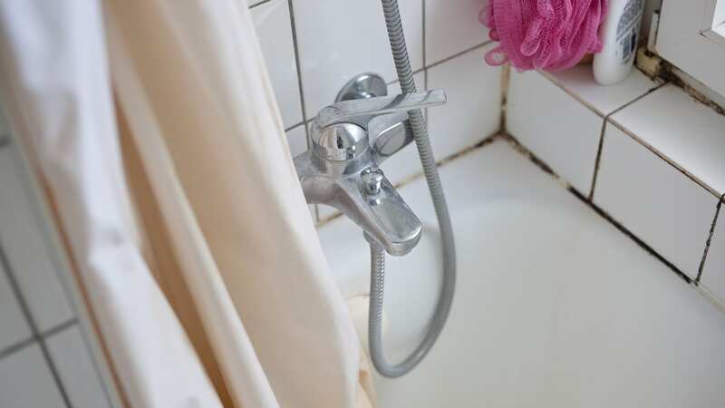 Mould can be banished from your home (Stock Image) (Image: Getty Images/iStockphoto)