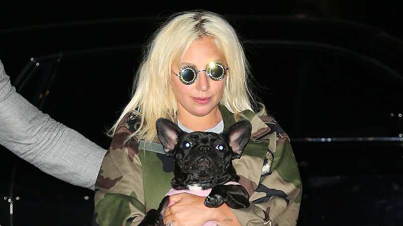 Lady Gaga was devastated when her dogs were stolen (Image: GC Images)