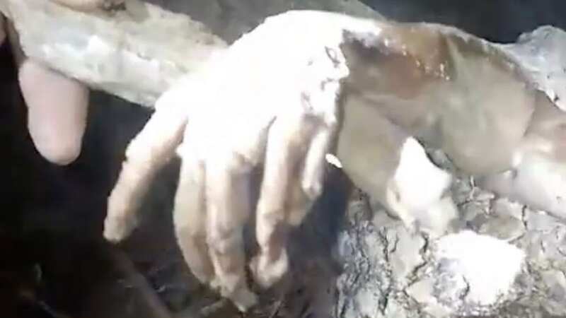 The mythical bloodsucking beast known as ‘Chupacabra’ has allegedly been shot dead by hunters (Image: Jam Press Vid)