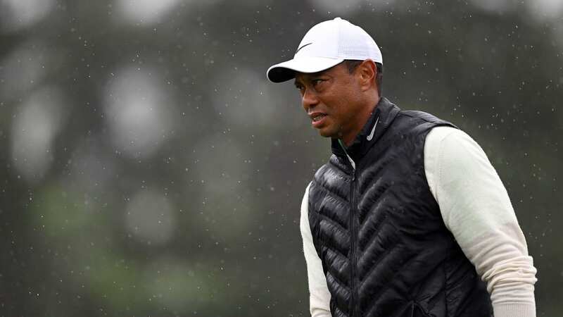 Tiger Woods has the backing of Davis Love III to assume the captaincy for Team USA at the next edition of the Ryder Cup