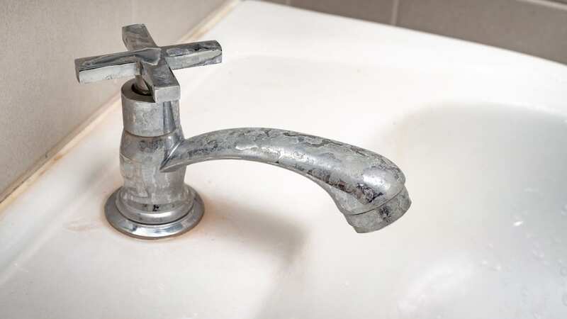 Cleaning fans give their tips on how to remove stubborn limescale (Image: Getty Images/iStockphoto)