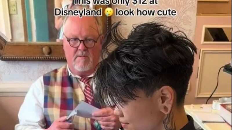 A hidden gem in Disneyland was discovered thanks to social media (Image: sneyfoodblog/TikTok)