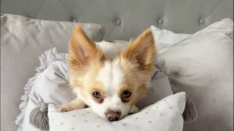 Little Luca was killed in the devastating attack