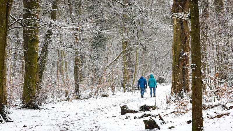 Colder air will see temperatures plummet by the weekend (file photo) (Image: Pete Stonier / Stoke Sentinel)