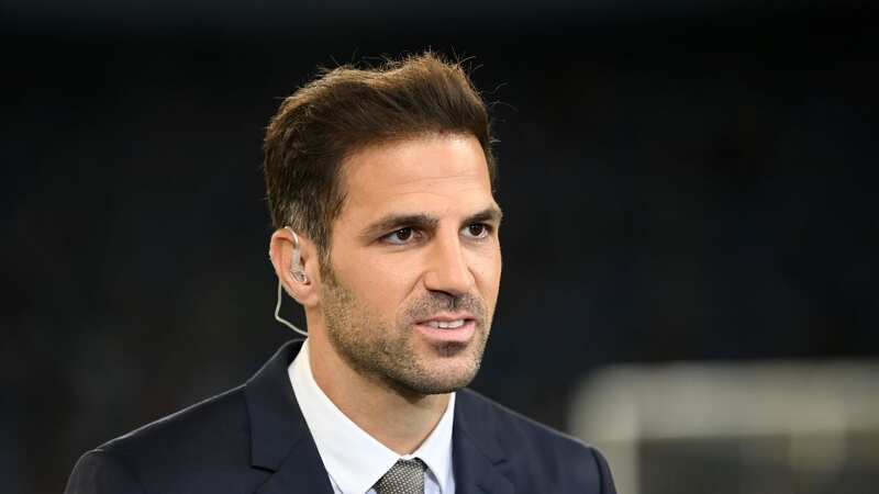 Fabregas excited by what he